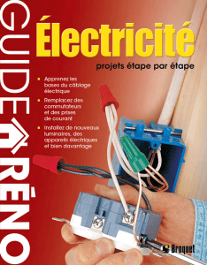 GUIDE RÉNO_Électricité