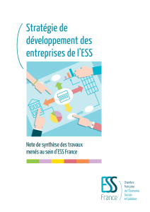 Stratégie de développement des entreprises de l`ESS