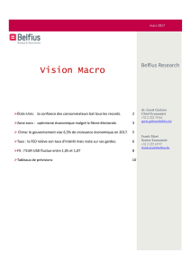 Vision Macro