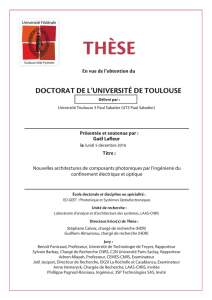 THµSE - Accueil thèses - Université Paul Sabatier