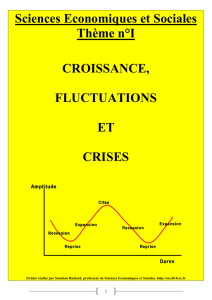 Sciences Economiques et Sociales Thème n°I CROISSANCE