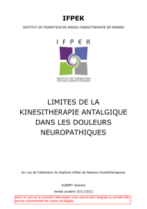 limites de la kinesitherapie antalgique dans les douleurs