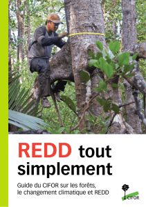 REDD tout simplement: Guide du CIFOR sur les forêts, le