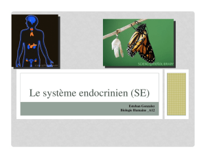 Le système endocrinien (SE)