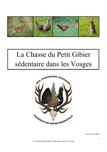 La Chasse du Petit Gibier sédentaire dans les Vosges