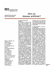 Vers un thymus artificiel? - iPubli