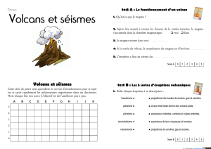 Volcans et séismes - Bruce Demaugé