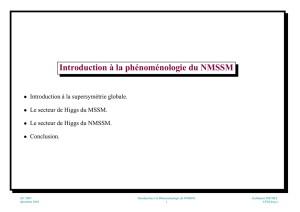 Introduction à la phénoménologie du NMSSM