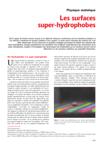 Les surfaces super-hydrophobes