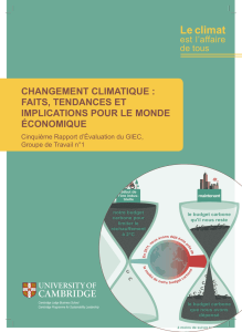 changement climatique - Cambridge Institute for Sustainability