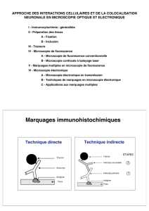 Marquages immunohistochimiques