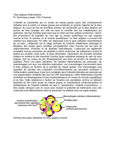 Tissu adipeux inflammatoire Pr. Dominique Langin, CHU Toulouse