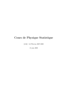 Cours de Physique Statistique