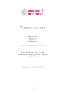 Thermodynamique - Dirk van der Marel