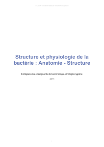 Structure et physiologie de la bactérie : Anatomie