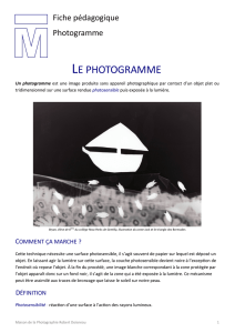 le photogramme - Maison de la photographie Robert Doisneau