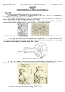 Représentation visuelle L`œil : système optique et formation des