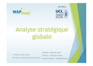 Analyse stratégique globale