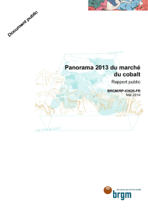 Panorama 2013 du marché du cobalt. Rapport public
