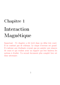 Interaction Magnétique