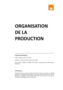 ORGANISATION DE LA PRODUCTION