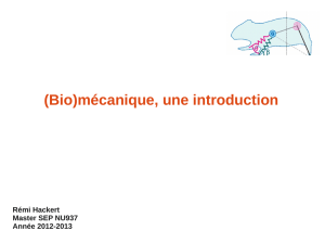(Bio)mécanique, une introduction