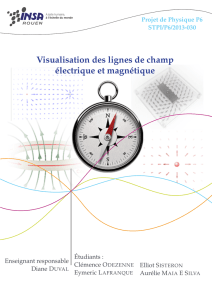 Visualisation des lignes de champ électrique et magnétique