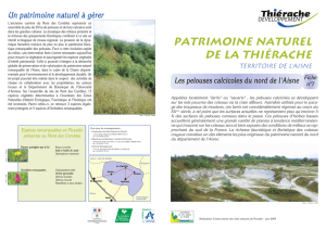 Patrimoine naturel de la Thiérache - Les pelouses calcioles du nord