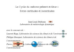 Le Cycle du carbone présent et futur : Entre certitudes et