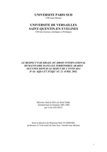 Section I - Les méthodes et moyens de combat utilisés par Israël