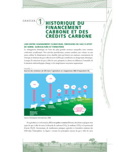 1 historique du financement carbone et des crédits carbone