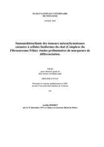 Immunohistochimie des tumeurs mésenchymateuses