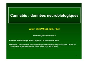 Cannabis : données neurobiologiques