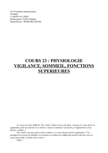 cours 23 : physiologie vigilance, sommeil, fonctions superieures