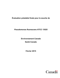 Caractéristiques de la souche de P. fluorescens ATCC 13525