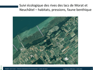 Suivi écologique des rives des lacs de Morat et Neuchâtel