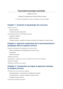 Psychopharmacologie essentielle Chapitre 1. Anatomie et