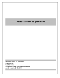 Cahier de grammaire - Blogues CSAffluents.qc.ca