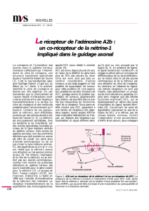 Le récepteur de l`adénosine A2b : un co-récepteur de - iPubli