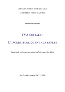 TVA sociale – l`incertitude quant aux effets