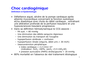 Choc cardiogénique
