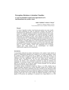 Perception, D&eacute;cision et Attention Visuelles