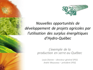 Opportunités développement projets agricoles surplus énergétiques