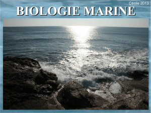 Biologie Marine A3 2013