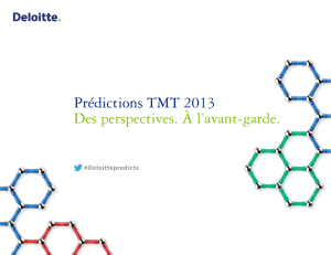 Prédictions TMT 2013