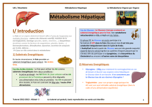 Métabolisme Hépatique I