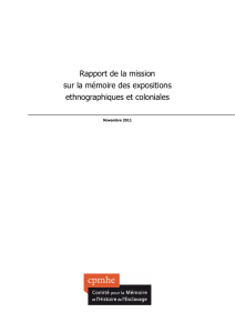 RAPPORT MISSION EXPOSITIONS ETHNOGRAPHIQUES