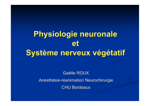 physiologie neuronale et système nerveux autonome