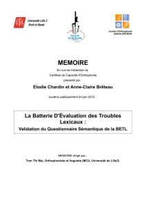 memoire - Service Central d`Authentification (CAS) Lille2