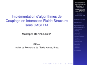 Implémentation d`algorithmes de Couplage en Interaction